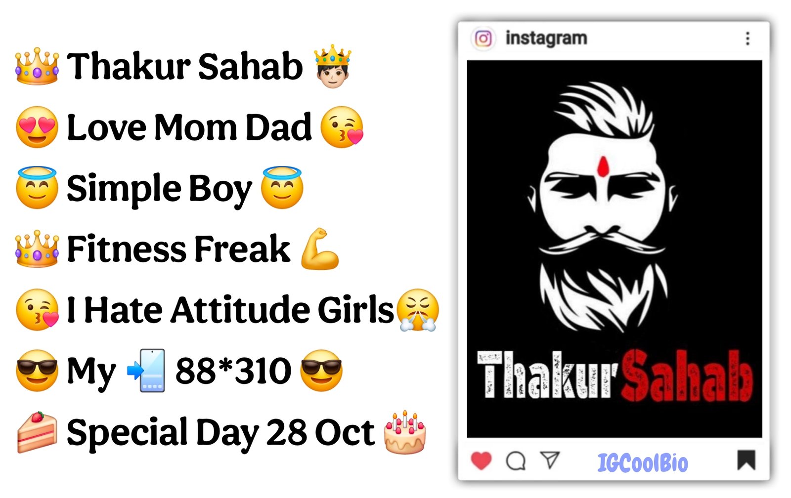Instagram Bio for Thakur Boys